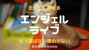 エンジェルライブチャットレディ｜女性が安全に顔出しなしで稼げるかを比較・口コミ・特徴で徹底検証