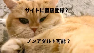 【在宅副業】ノンアダルトチャットレディを確実に始める方法！メリット・デメリットは？