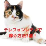 テレフォンレディは稼げる？稼げない？男心を解説！稼ぐ方法3選と具体的な会話内容を紹介！