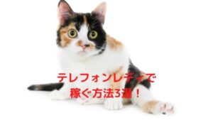 テレフォンレディは稼げる？稼げない？男心を解説！稼ぐ方法3選と具体的な会話内容を紹介！