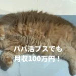 パパ活初心者のブスがパパ活サイトで100万円稼いだ物語！4つの方法を紹介