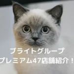 ブライトグループ全国プレミアム店舗47店舗一覧【東京/千葉/神奈川/埼玉/茨城/名古屋】