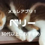 ベリーのメールレディは30代以上の副業におすすめアプリ！稼げるかを安全性・口コミ・評判で確かめた