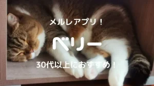 ベリーのメールレディは30代以上の副業におすすめアプリ！稼げるかを安全性・口コミ・評判で確かめた