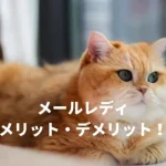 メールレディのメリットとデメリットを確かめた！デメリット6選とメリット5選