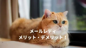 メールレディのメリットとデメリットを確かめた！デメリット6選とメリット5選