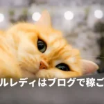 ブログ機能をメールレディ（メルレ）は活用して稼ごう！モコム・ファム・ビーボで使える