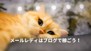 ブログ機能をメールレディ（メルレ）は活用して稼ごう！モコム・ファム・ビーボで使える