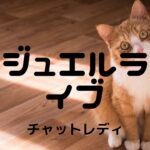 ジュエルライブチャットレディ求人|口コミ・評判、特徴、登録方法を確かめた
