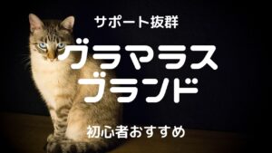 【取材あり】グラマラスブランドチャットレディ|安全に稼げるかを比較・口コミ・特徴で徹底調査