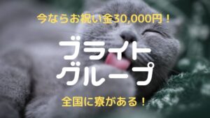 【🎁入店祝い金2万円】チャットレディJPがおすすめかを比較・口コミ・安全性で確かめた！