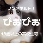 PoPo(ぴおぴお)はノンアダルトのメルレアプリ!18歳以上の高校生可!