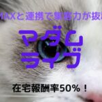 チャットピアのチャットレディ求人|主婦が安全に稼げるかを比較・口コミ・評判で徹底調査 29 マダムライブチャットレディ|報酬比較と口コミ・評判、登録方法を確かめた