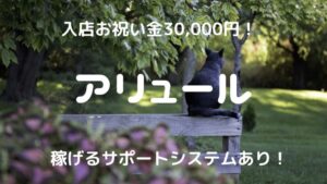アリュールチャットレディ求人|メリット・比較・口コミ・評判で徹底調査!
