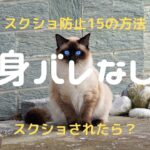 チャットレディでスクショされて身バレしない方法15選|された時の方法を徹底解説!