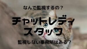 【理由】チャットレディスタッフは監視してる？なんで監視するの？セクハラされる？
