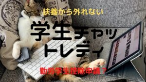 学生チャットレディ・メルレが扶養から外れない方法5選！親バレなし