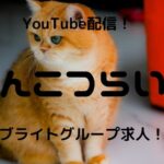 福岡チャットレディおすすめ求人ランキング8選!稼げる通勤事務所と在宅おすすめ事務所と在宅メールレディサイト! 43 【ぽんこつらいぶ】ブライトグループ所属のfanzaチャットレディがYouTubeで情報発信!