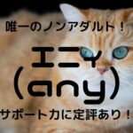 【在宅副業】ノンアダルトチャットレディを確実に始める方法!メリット・デメリットは? 7 メールレディエニィ(any)は女性が安全に稼げる副業【完全ノンアダルト】口コミ・評判を確かめた