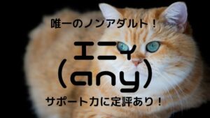 メールレディエニィ（any）は女性が安全に稼げる副業【完全ノンアダルト】口コミ・評判を確かめた