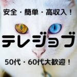 【お祝い金2.8万円】テレフォンレディのテレジョブ!口コミ・評判・特徴を確かめた