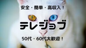 【お祝い金2.8万円】テレフォンレディのテレジョブ！口コミ・評判・特徴を確かめた