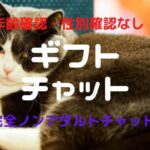 【身分証いらない】ギフトチャットは稼げるメールレディ?【年齢確認・性別確認なし】