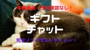 【身分証いらない】ギフトチャットは稼げるメールレディ?【年齢確認・性別確認なし】