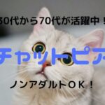 チャットピアのチャットレディ求人|主婦が安全に稼げるかを比較・口コミ・評判で徹底調査