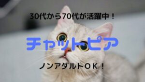 チャットピアのチャットレディ求人|主婦が安全に稼げるかを比較・口コミ・評判で徹底調査