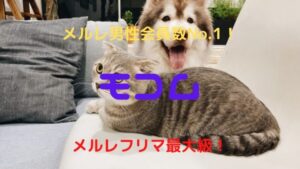 モコムのメールレディで安全に稼ぐ方法！口コミ・評判・メール単価も調べてみた