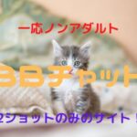 BBチャットのチャットレディ|女性が安全に稼げるかを比較・口コミ・特徴で確かめた!【一応ノンアダルト】