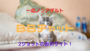 BBチャットのチャットレディ｜女性が安全に稼げるかを比較・口コミ・特徴で確かめた！【一応ノンアダルト】