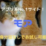 モア(moa)のメールレディアプリ|女性がスマホ一つで安全に稼げるかを比較・口コミ・評判で確かめた!