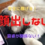 顔出しなしでチャットレディ・メルレは安全に稼げる?メリット・デメリットを確かめた