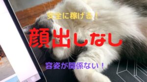 顔出しなしでチャットレディ・メルレは安全に稼げる?メリット・デメリットを確かめた