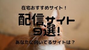 【在宅】チャットレディ配信サイト9つのおすすめを比較してみた!【大手事務所経由がおすすめ】