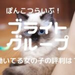 【働いてる女の子の評判は?】ブライトグループチャットレディのお仕事をYouTube動画で紹介【ぽんこつらいぶ】