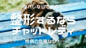 【100万円】チャットレディなら安全に整形費用をはやく貯めれる！経費計上は厳しいかも？