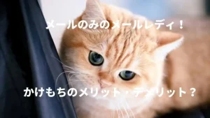 【メールのみ】メールレディのかけもちのメリット・デメリットを徹底解説！おすすめメールのみサイト10選！