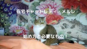 在宅チャットレディ・メルレの始め方とお仕事に必要なもの!在宅おすすめ事務所とサイト紹介