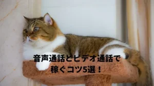 【メルレ/テレフォンレディ必見】音声通話・ビデオ通話で稼ぐコツ（方法）5選！会話内容を徹底解説